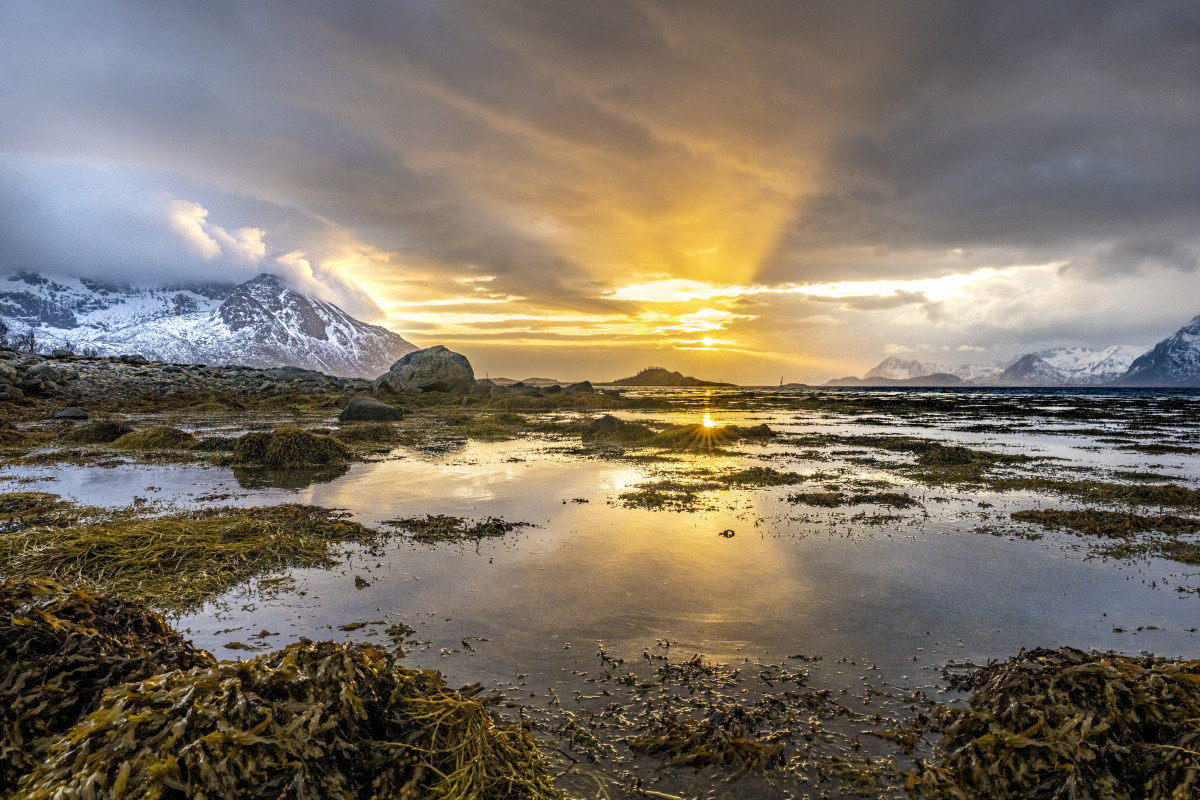 Fotoreis Lofoten 2023 1 Fotoreis Lofoten 2023