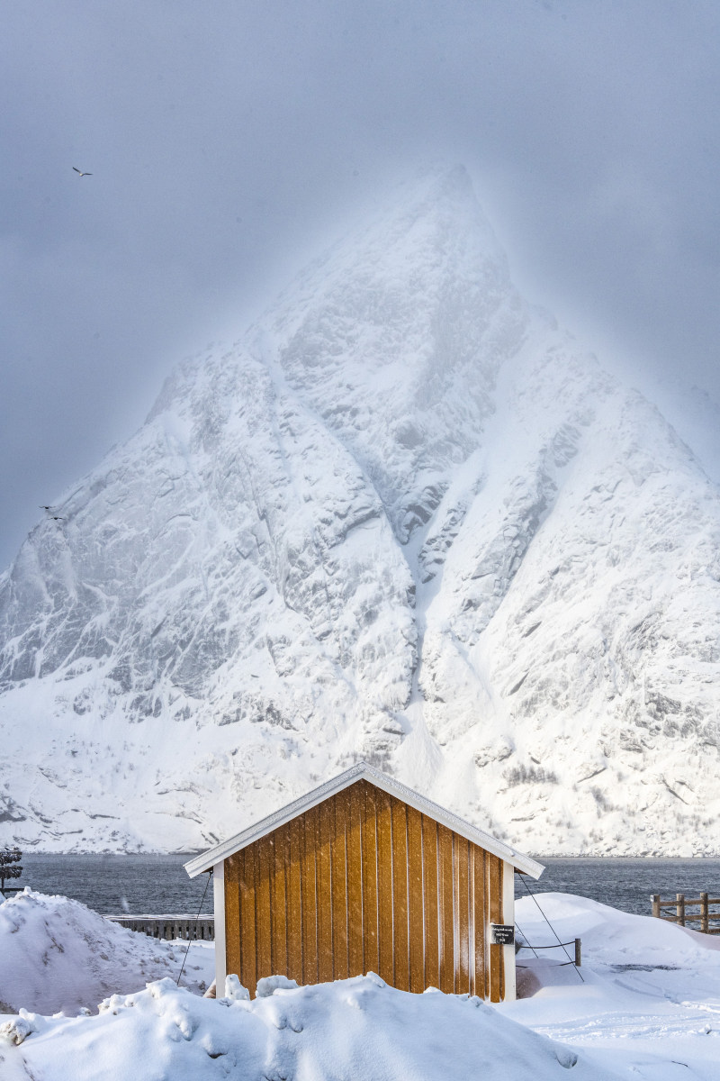 Fotoreizen Lofoten Sakrisøy geel punthuisje met puntberg