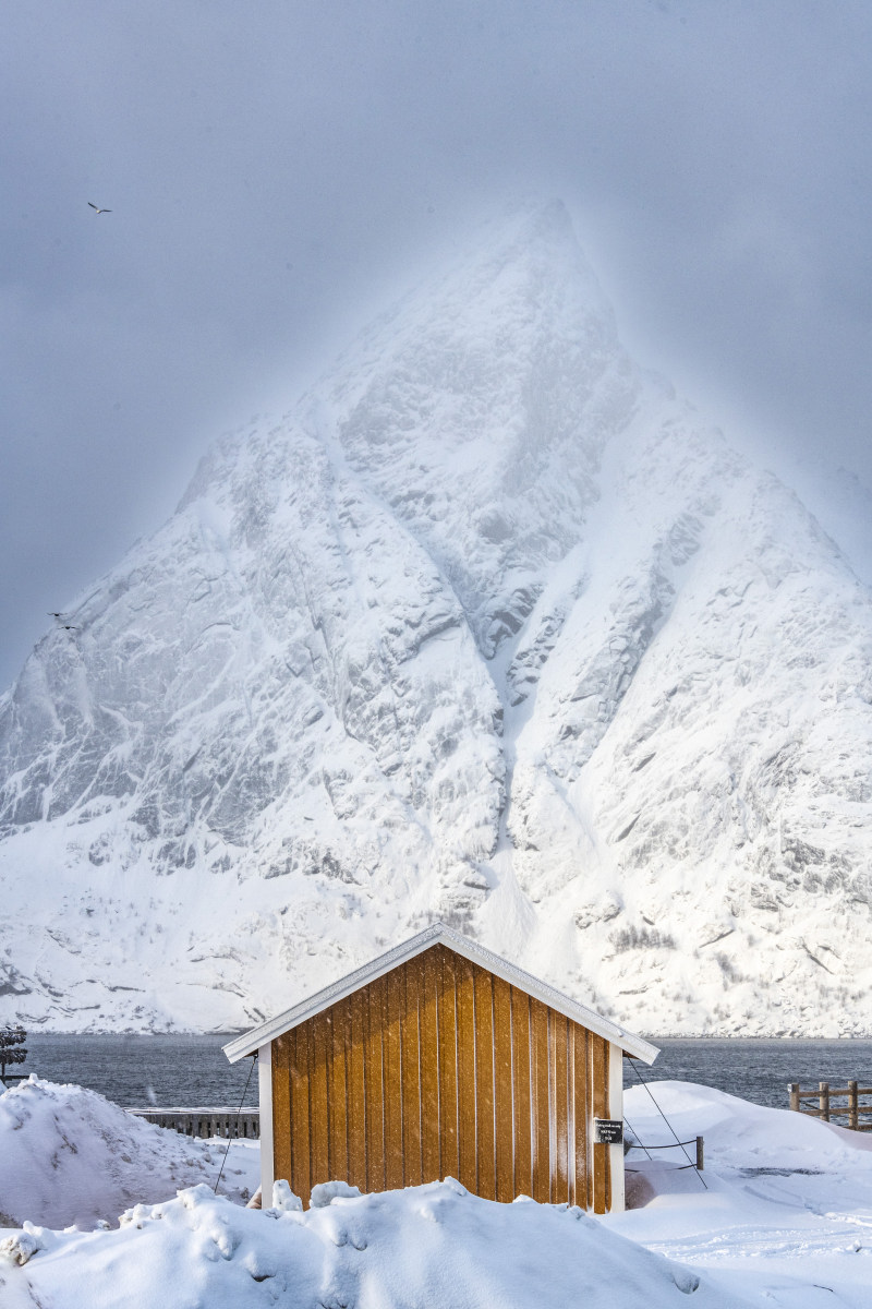 Fotoreis Lofoten Hamnoy Unstad 244 Fotoreizen Lofoten Sakrisøy geel punthuisje met puntberg