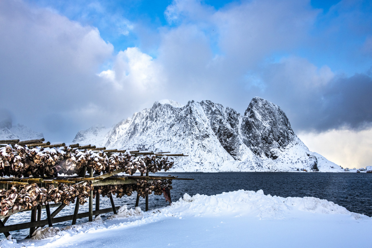 Fotoreis Lofoten Hamnoy Unstad 249 Stokvissen Lofoten