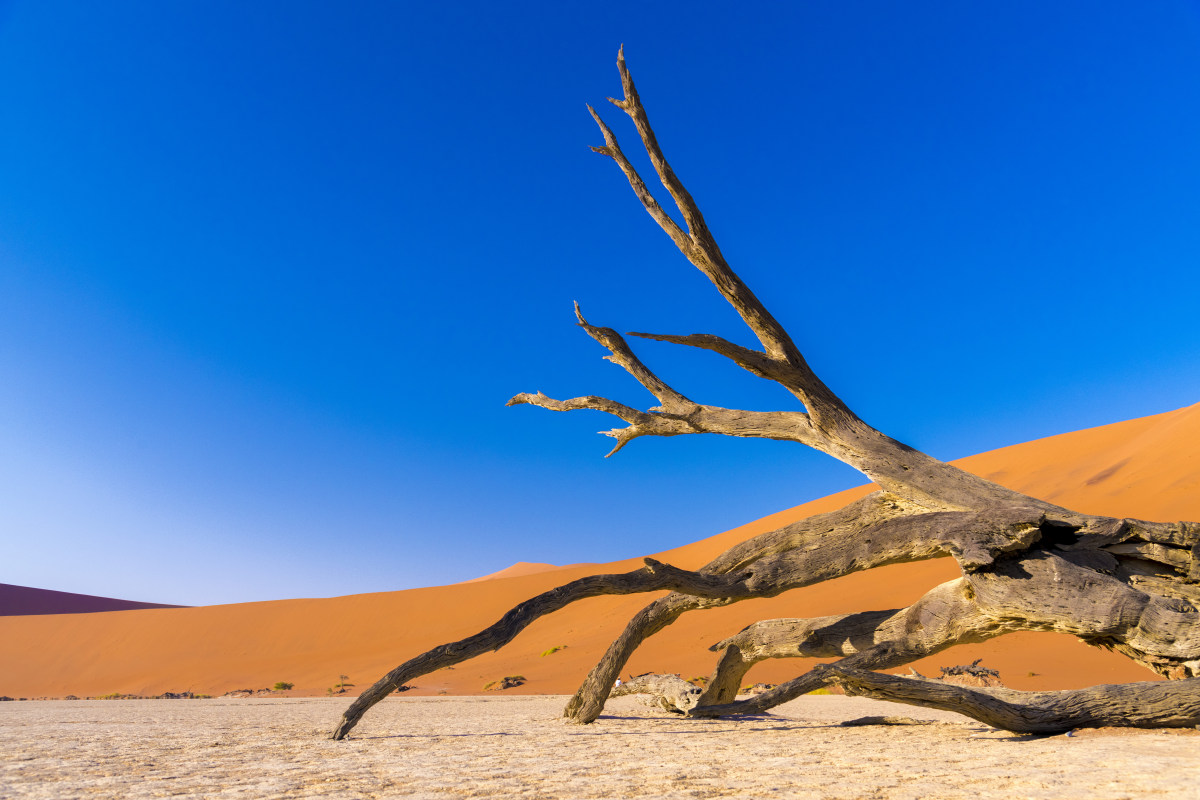 Fotoreis Namibië