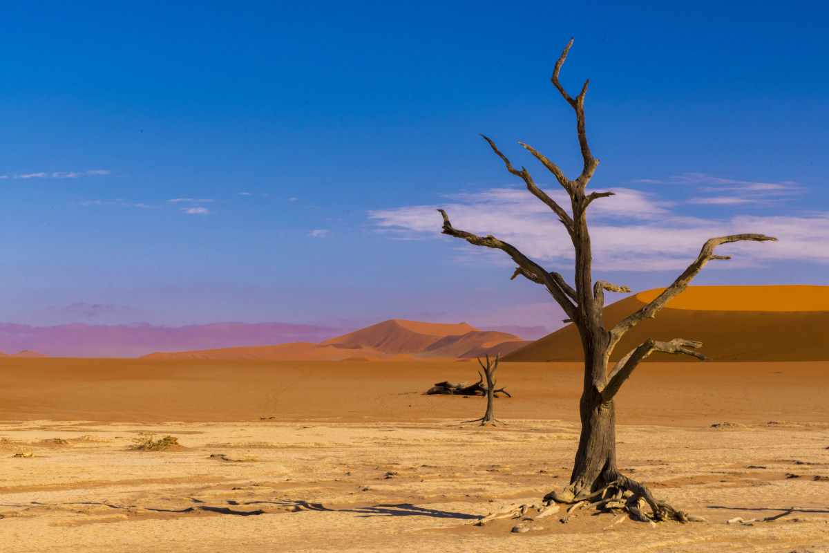 Fotografiereis Namibië
