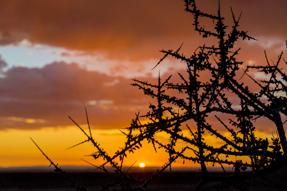 Fotografiereis Namibië