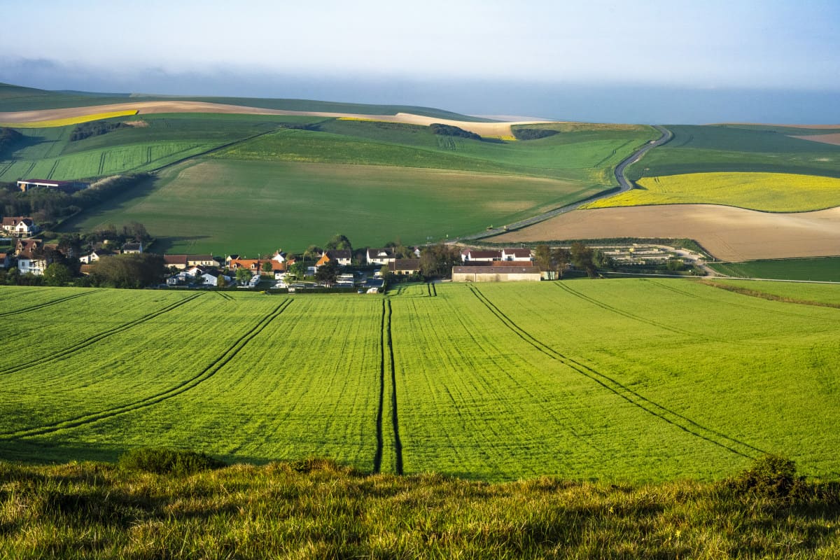 Fotoreis Opaalkust Cap de Blanc Nez en koolzaad 55 Cap de Blanc Nez fotoreis Opaalkust