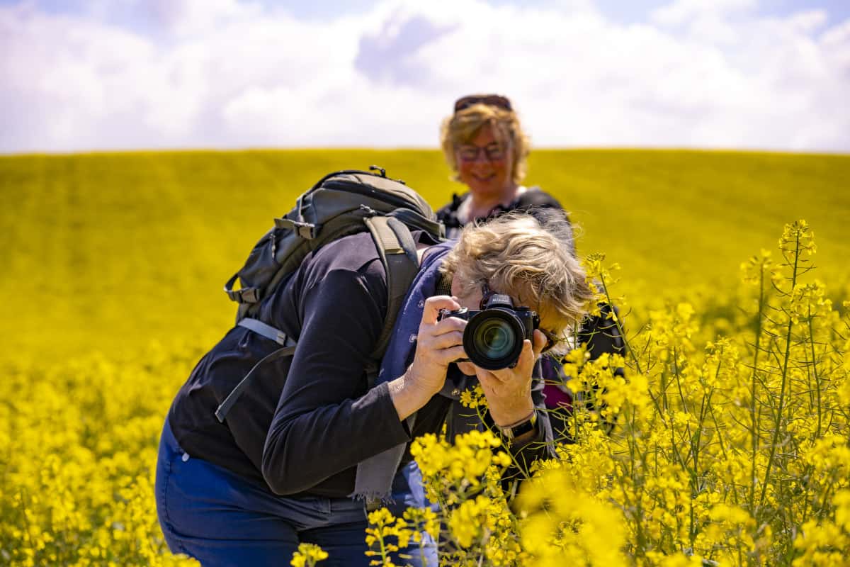 Fotoreis Opaalkust - deelnemers in actie 28 Deelnemers in het koolzaadveld tijdens de Fotoreis Opaalkust