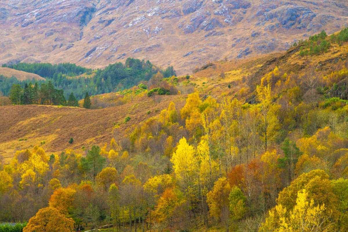 Fotoreis Schotland 104 Herfst in Schotland