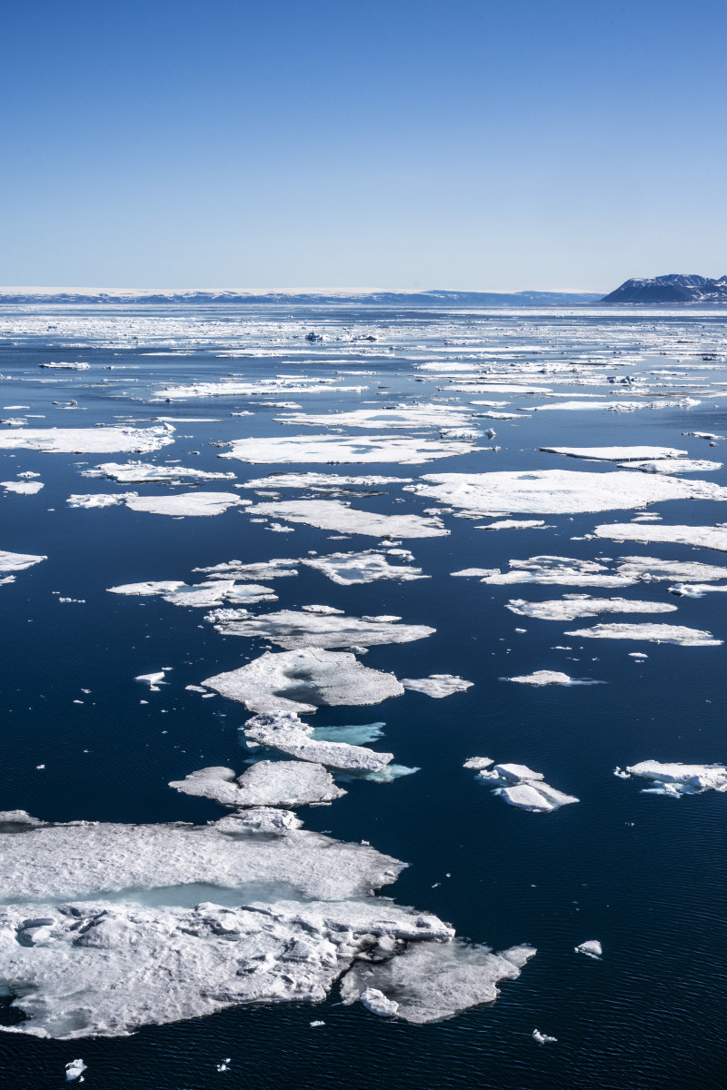 Fotoreis Spitsbergen 130 Pakijs Fotoreis Spitsbergen