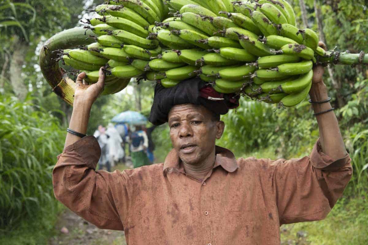 Fotoreis Tanzania - Man met bananen op zijn hoofd Fotoreis Tanzania - Man met bananen op zijn hoofd