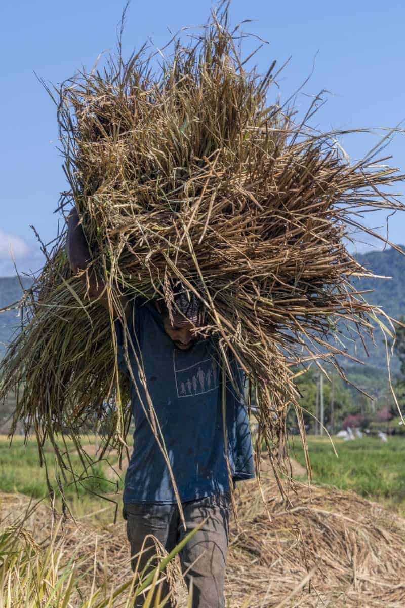 Fotoreis Tanzania - Man met stro op zijn hoofd