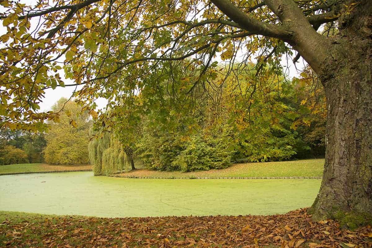 Fotoreis Veluwe Herfst fotografie