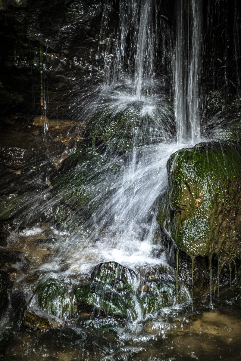 Fotoreizen Luxemburg 9 Fotoreizen Luxemburg Mullerthal