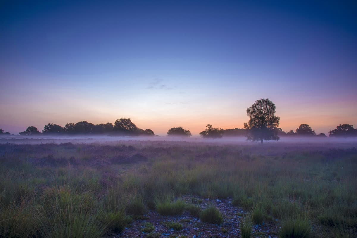 Nevel boven de Brabantse heide Fotoweekend Brabant