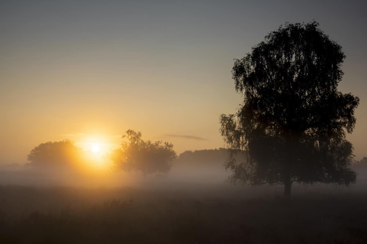 Ochtendmust bij de Brabantse vennen