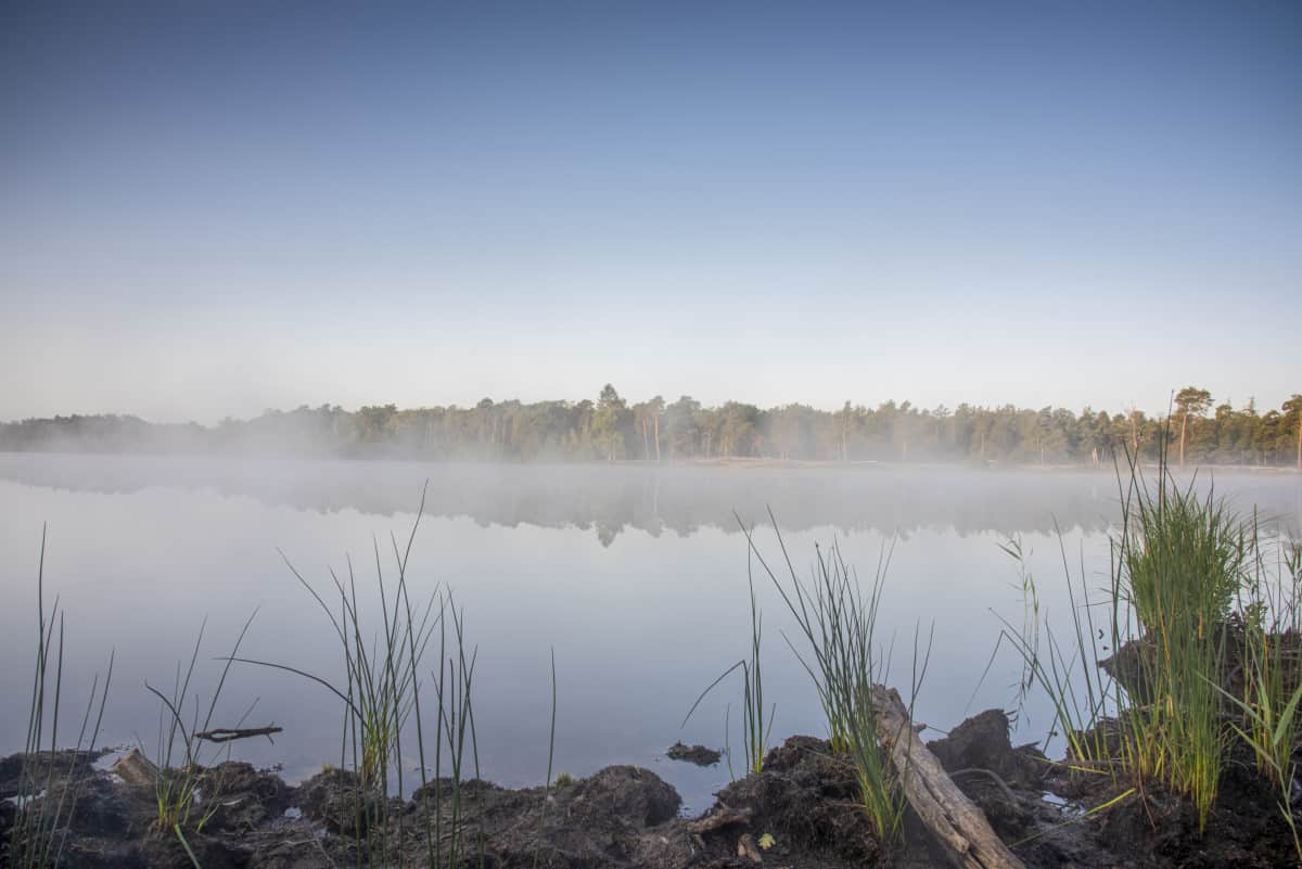 Fotoweekend Brabant ochtendmist