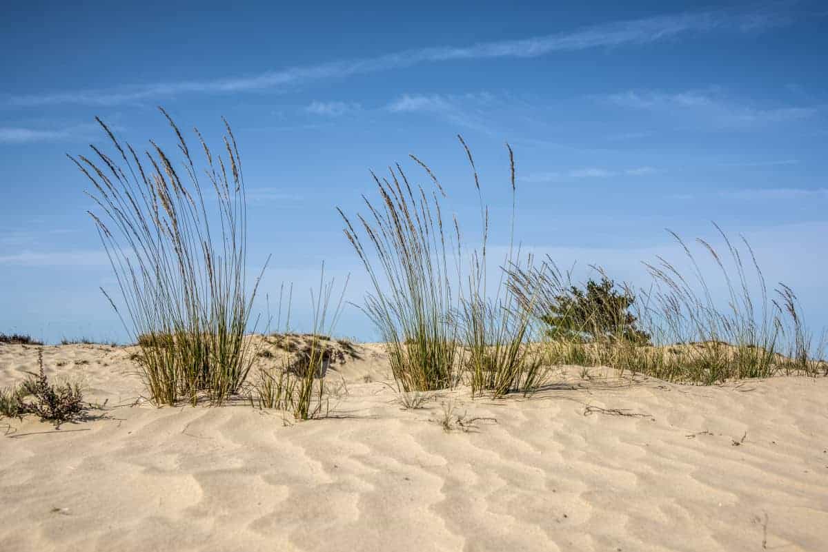 Fotoweekend Brabant Drunense Duinen