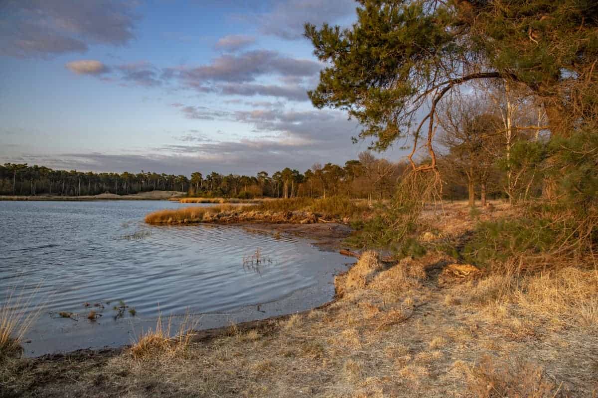 Fotoweekend Brabant 04 Kogelvangersven op de Kampina Brabant