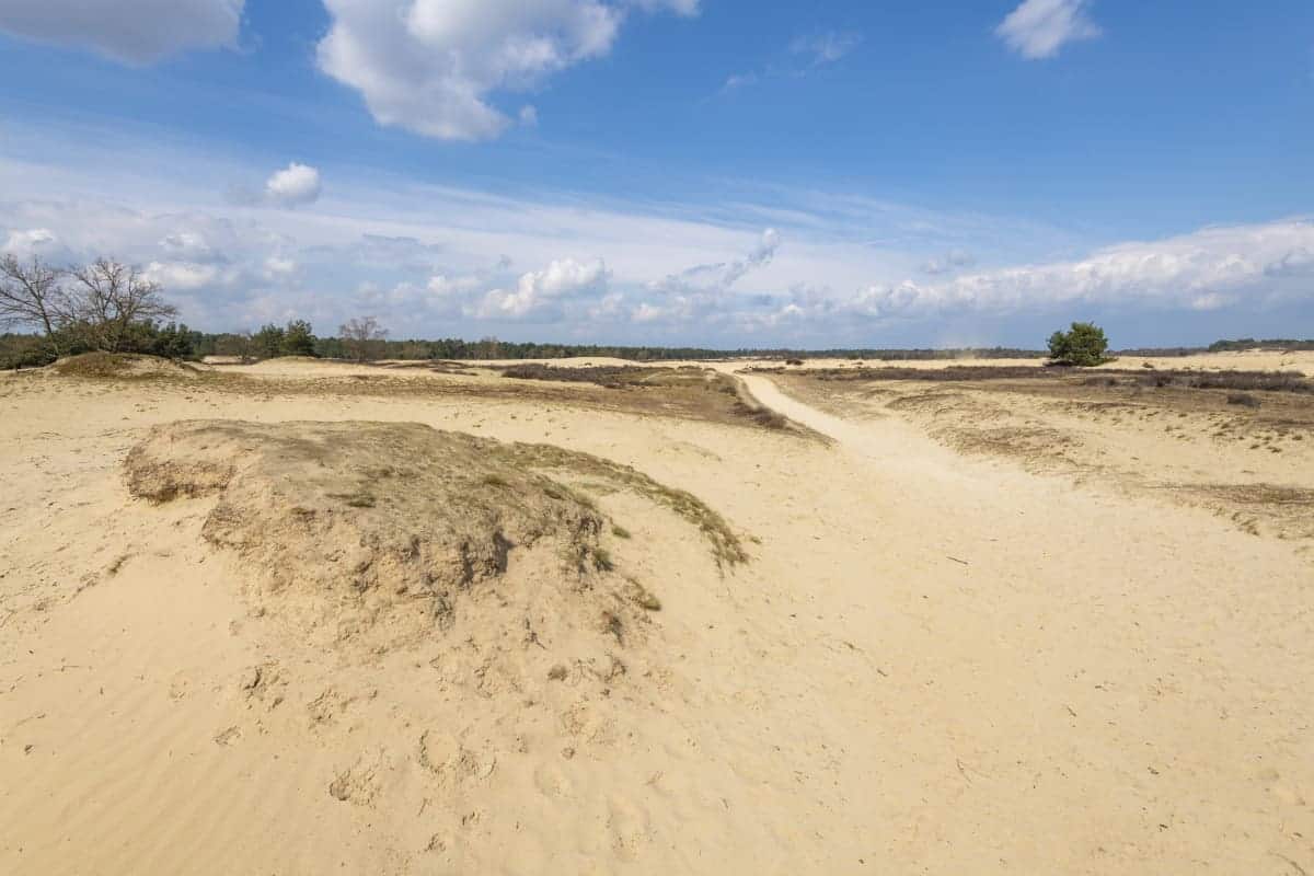 Fotoweekend Brabant 12 Loonse en Drunense Duinen Fotoweekend Brabant