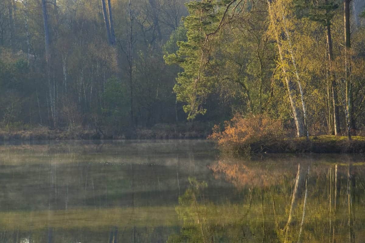 Fotoweekend Brabant ochtenden Van Esschenven