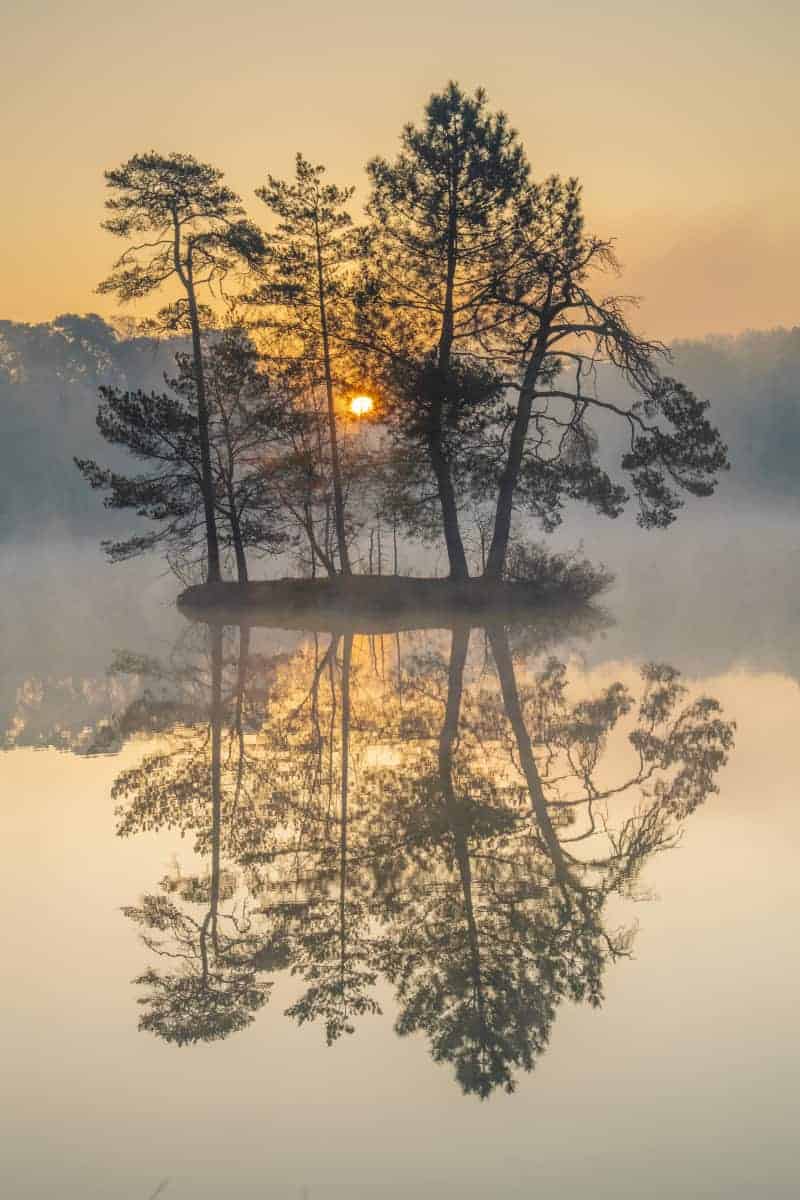 Fotoweekend Brabant 17 Zonsopkomst Van Esschenven