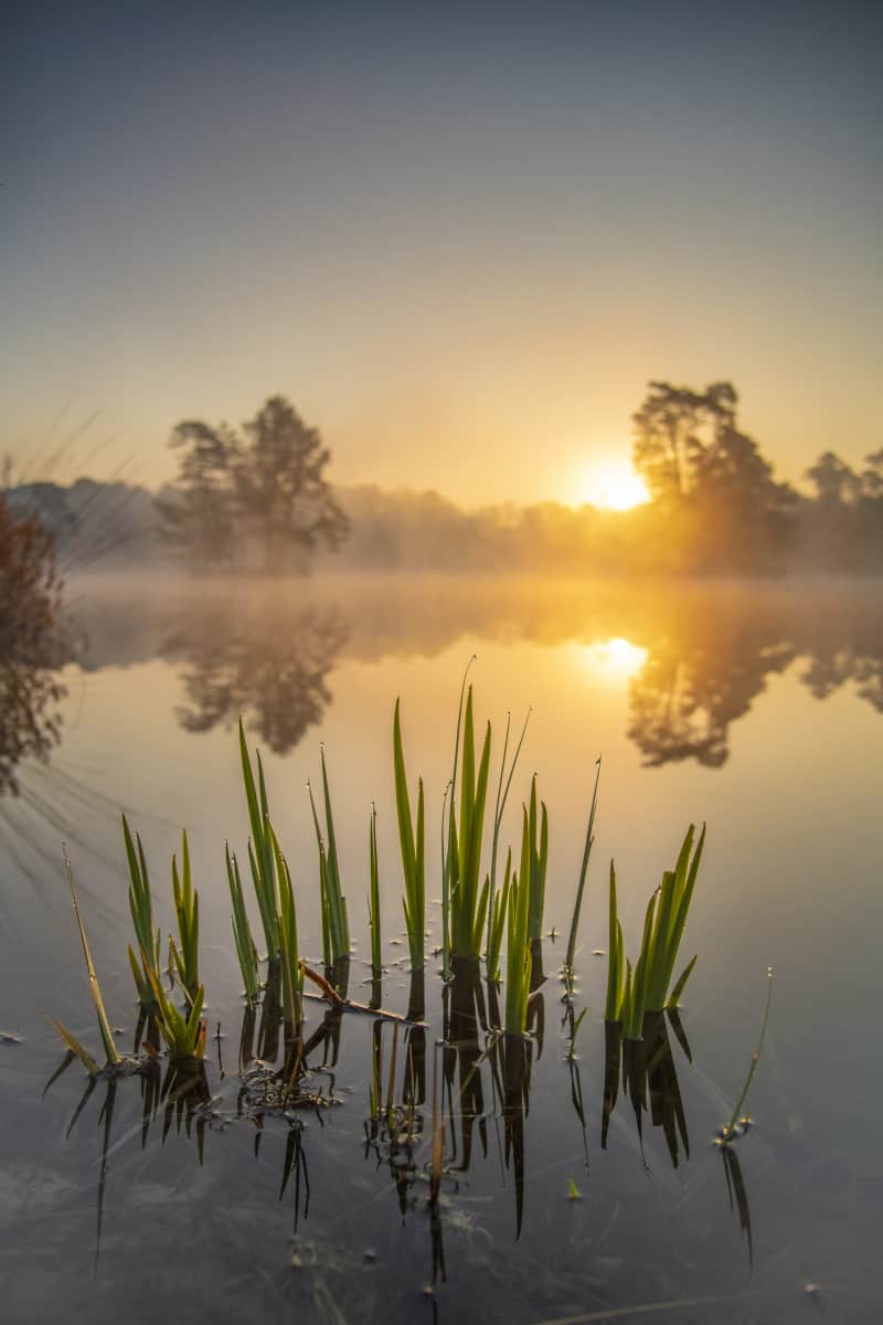 Fotoweekend Brabant 18 Van Eschenen bij zonsopkomst Fotoweekend Brabant