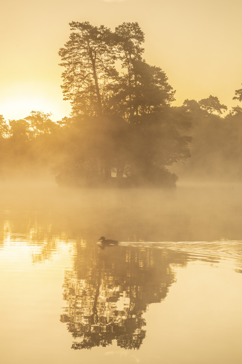Fotoweekend Brabant 23 Zonsopkomst boven Van Esschenven