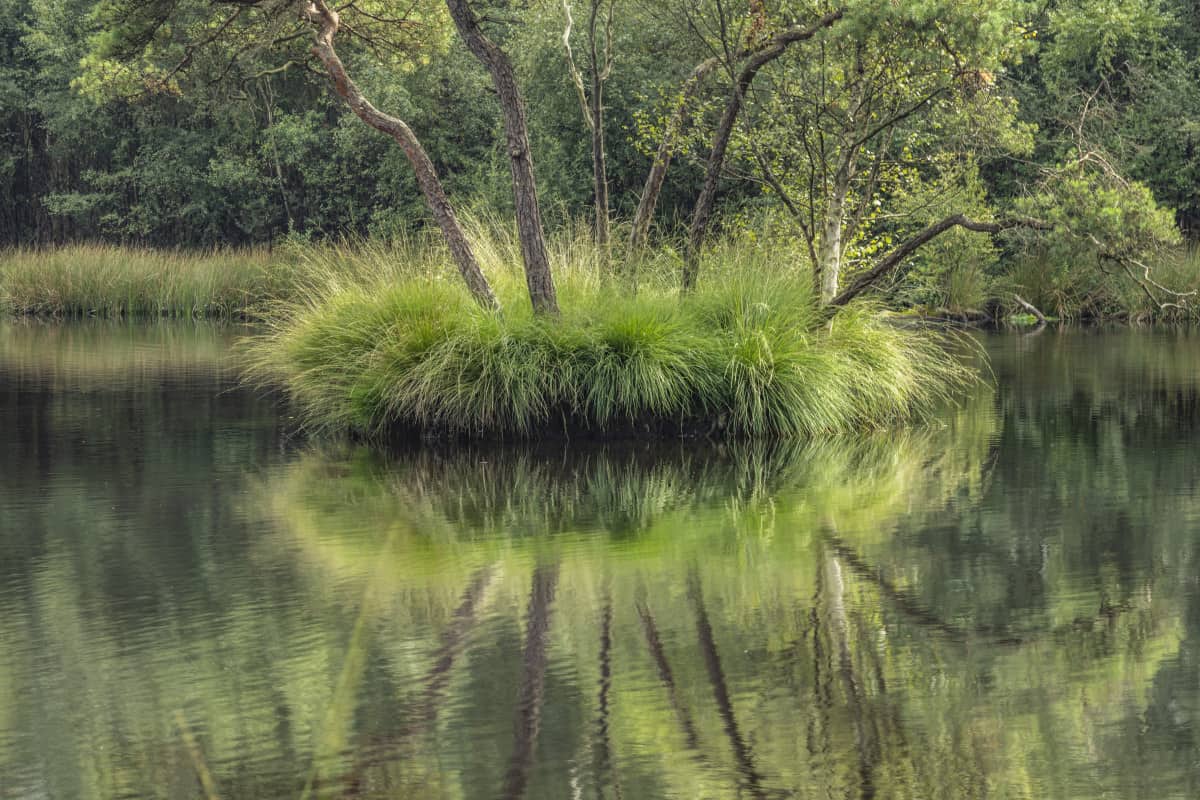 Fotoweekend Brabant 3 Fotoweekend Brabant