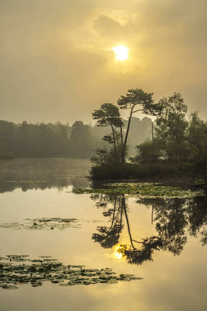 Fotoweekend Brabant 5 Fotoweekend Brabant Voorste Goorven in ochtendlicht