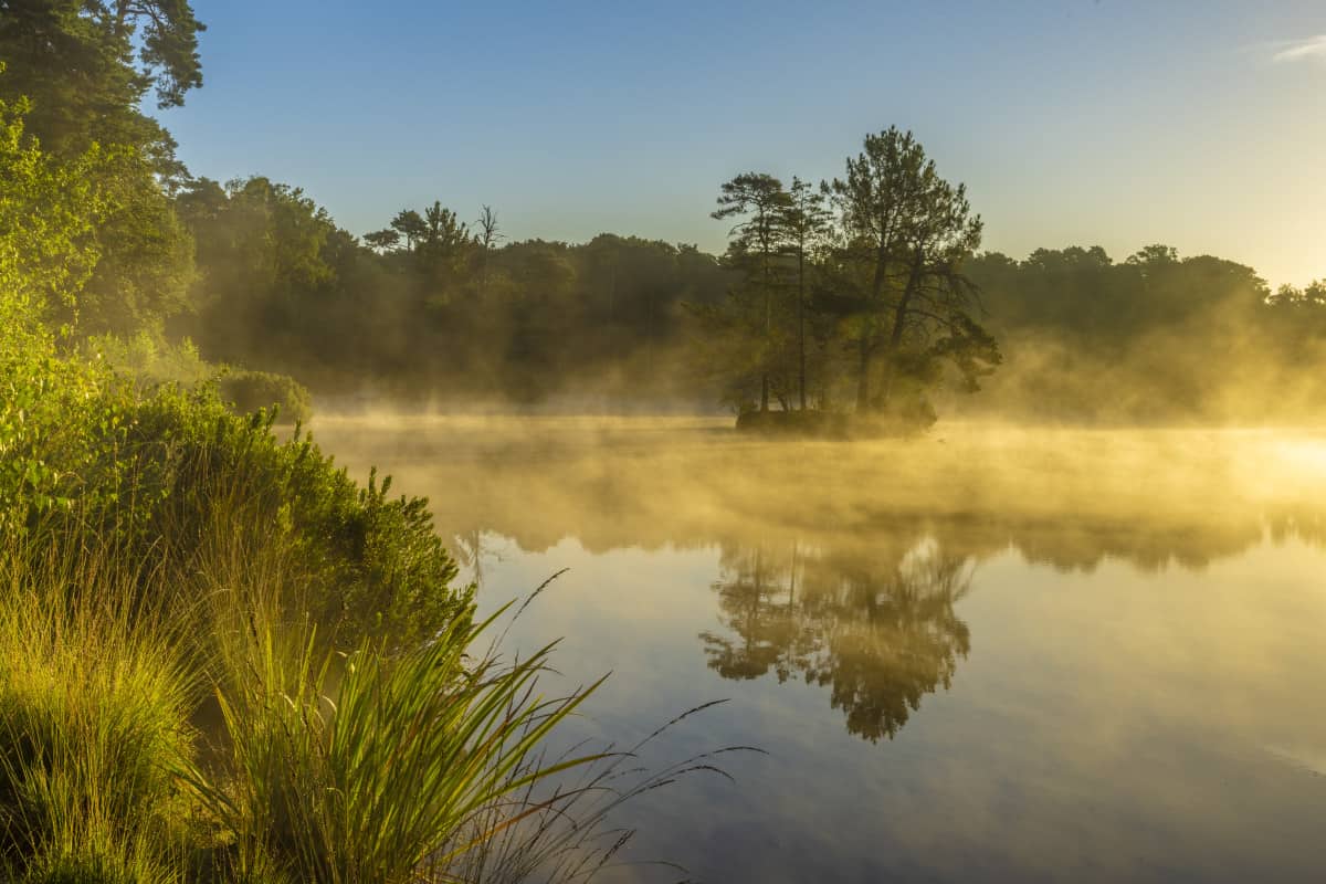 Fotoweekend Brabant 67 Van Eschenen tijdens het Fotoweekend Brabant in de ochtendzon met mist.