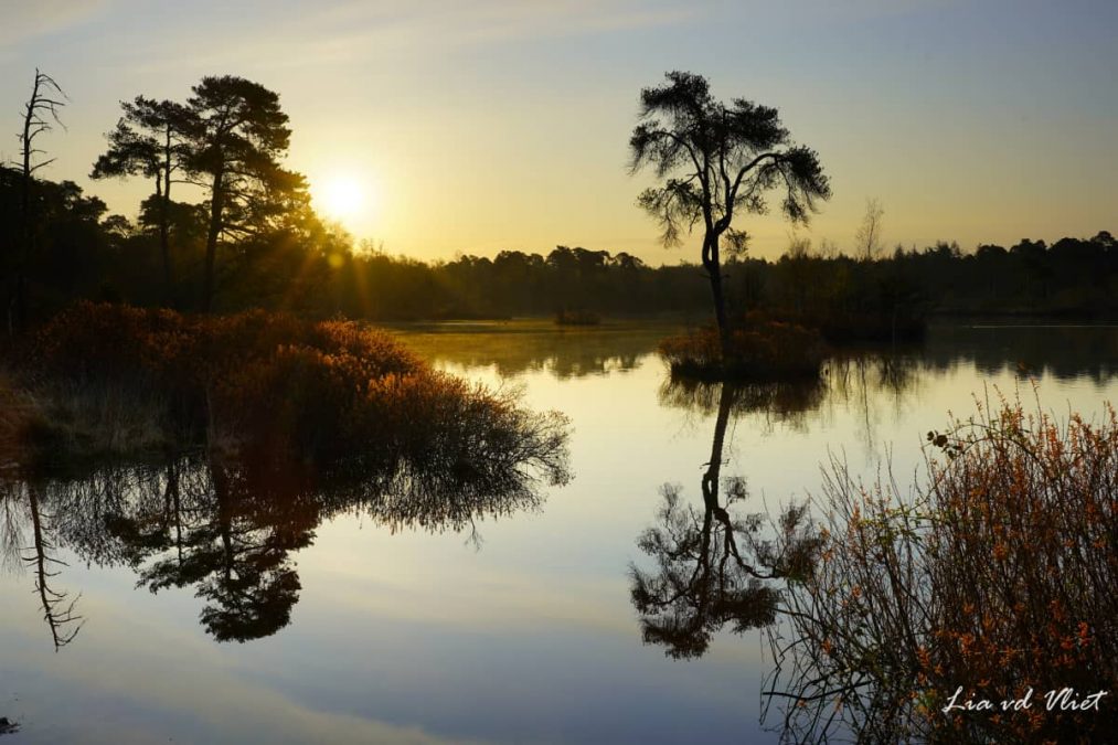 Fotoweekend Brabant Voorste Goorven bij zonsopkomst