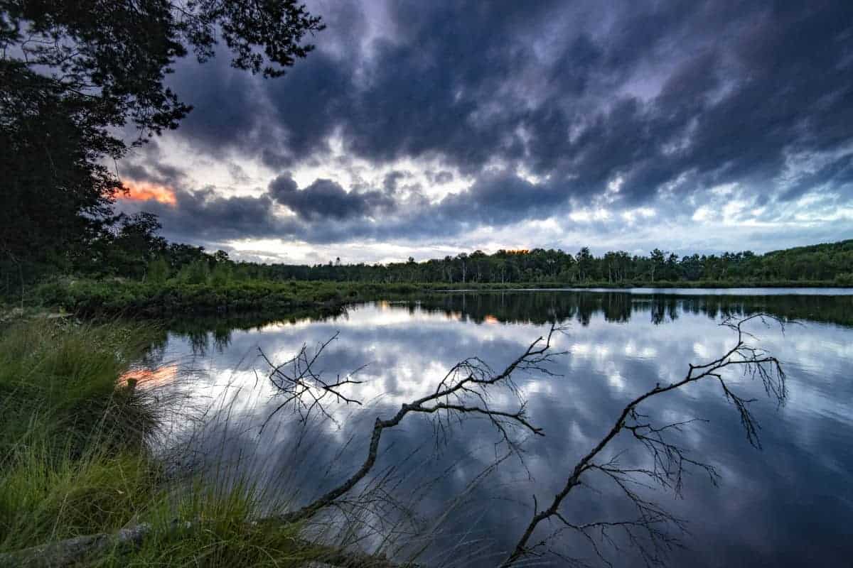 Fotoweekend Drenthe vennetje Zeegser Duinen Fotoweekend Drenthe vennetje Zeegser Duinen
