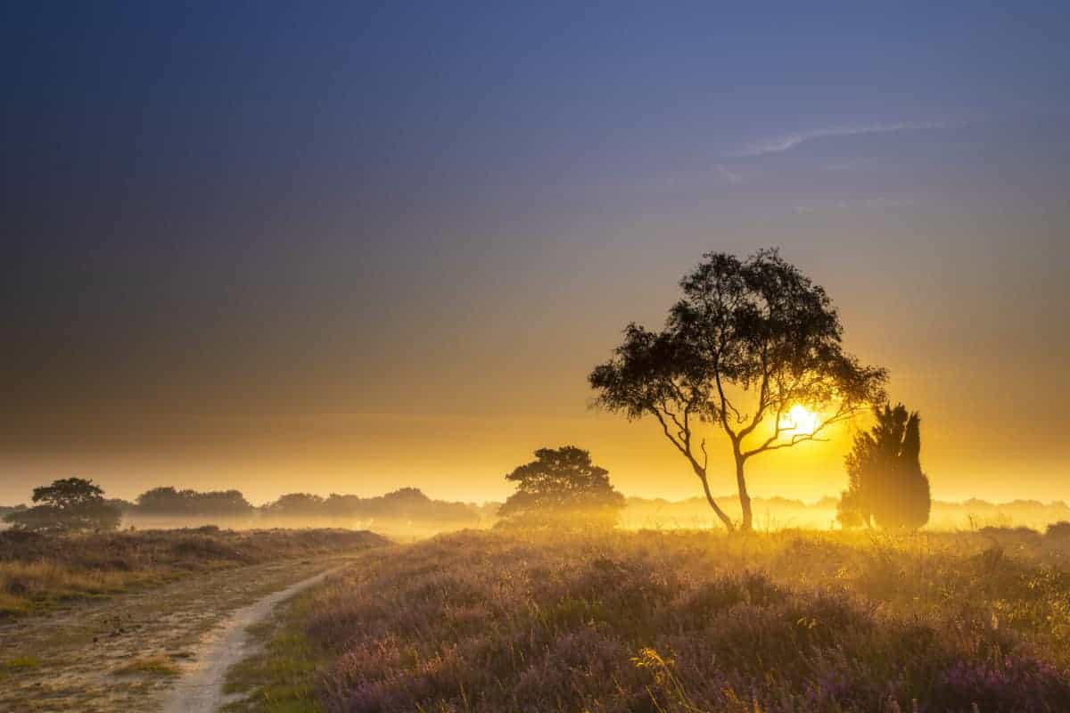 Fotoweekend Drenthe Balloerveld als de zon al op is | Fotografie-reizen - Fotoreizen