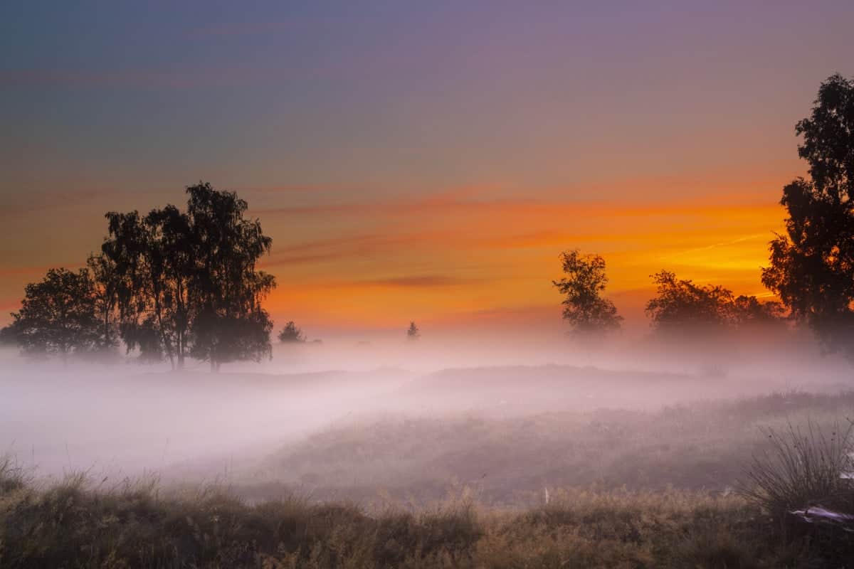 Fotoweekend Drenthe Balloerveld rode zonsopgang | Fotografie-reizen - Fotoreizen