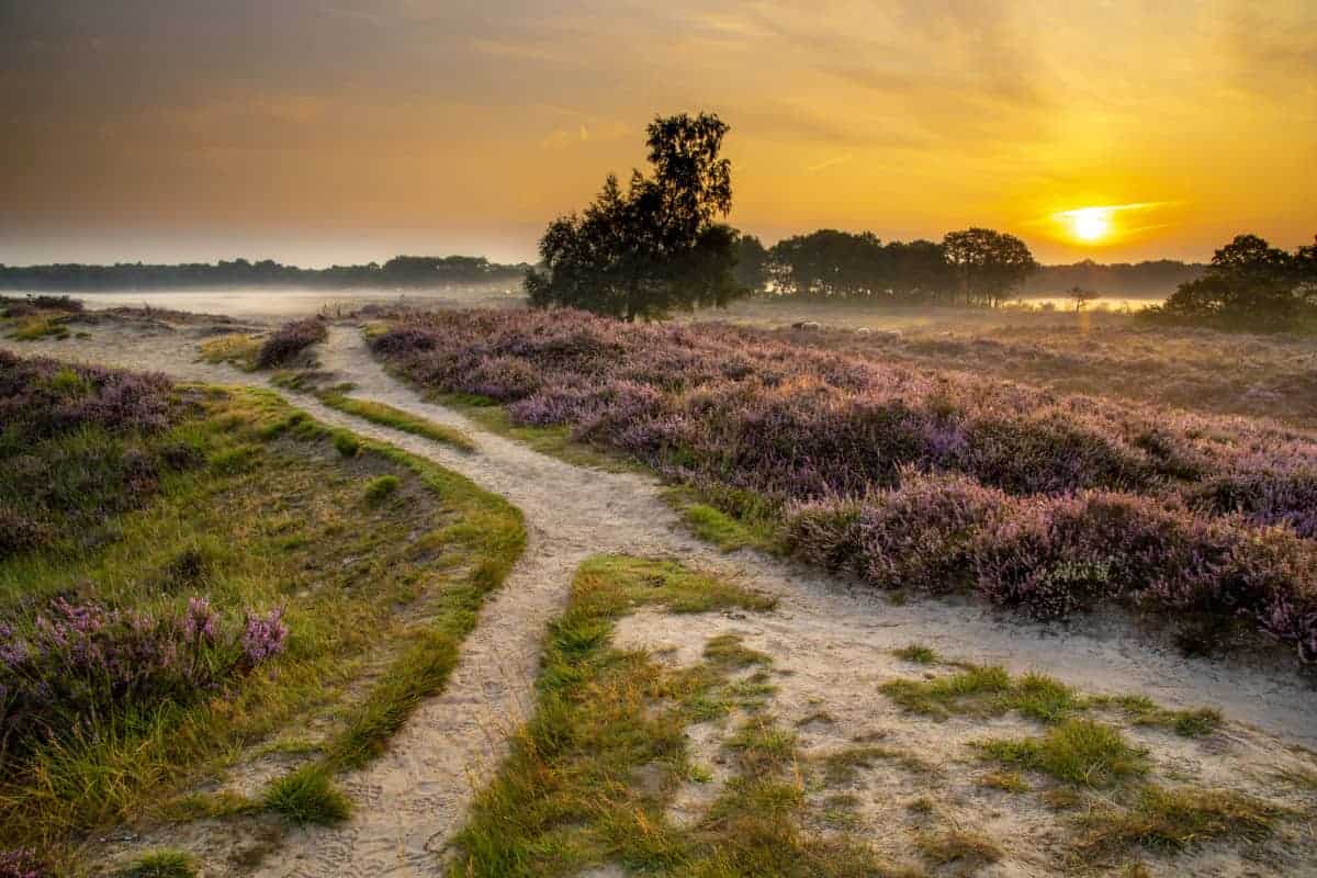 Fotoweekend Drenthe Gasterse Duinen de topper Fotoweekend Drenthe Gasterse Duinen de topper