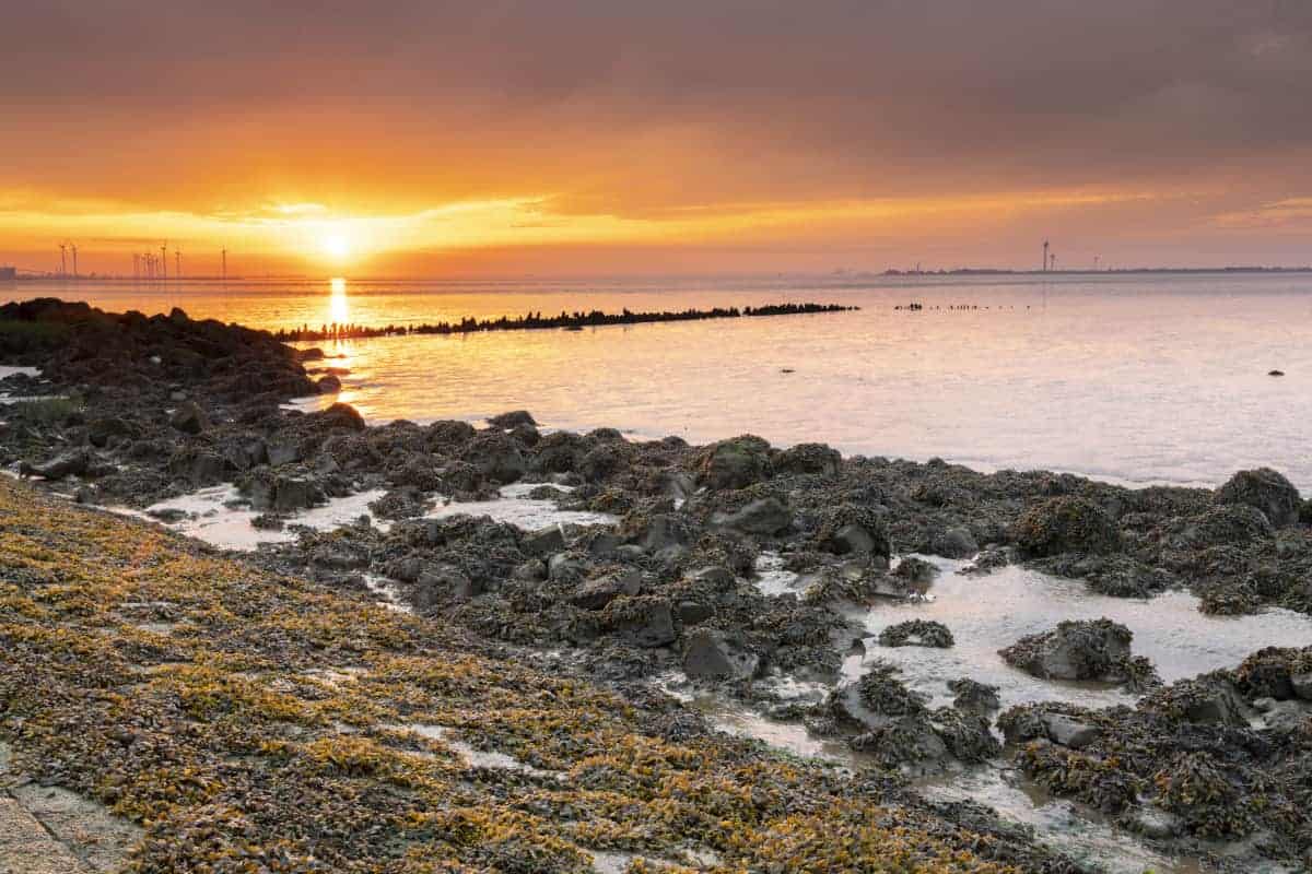 Fotoweekend Groninger Waddenkust