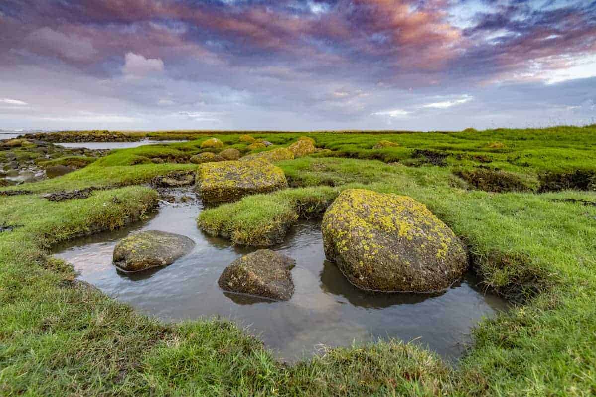 Fotoweekend Groninger Waddenkust 30_01 Punt van Reide Fotoreizen Nederland