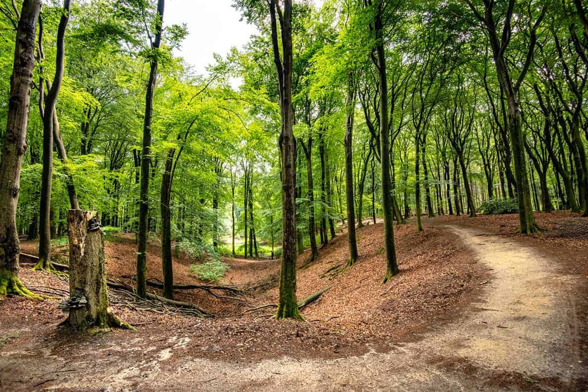 Fotoweekend Veluwe Solse gat Fotoweekend Veluwe Solse gat