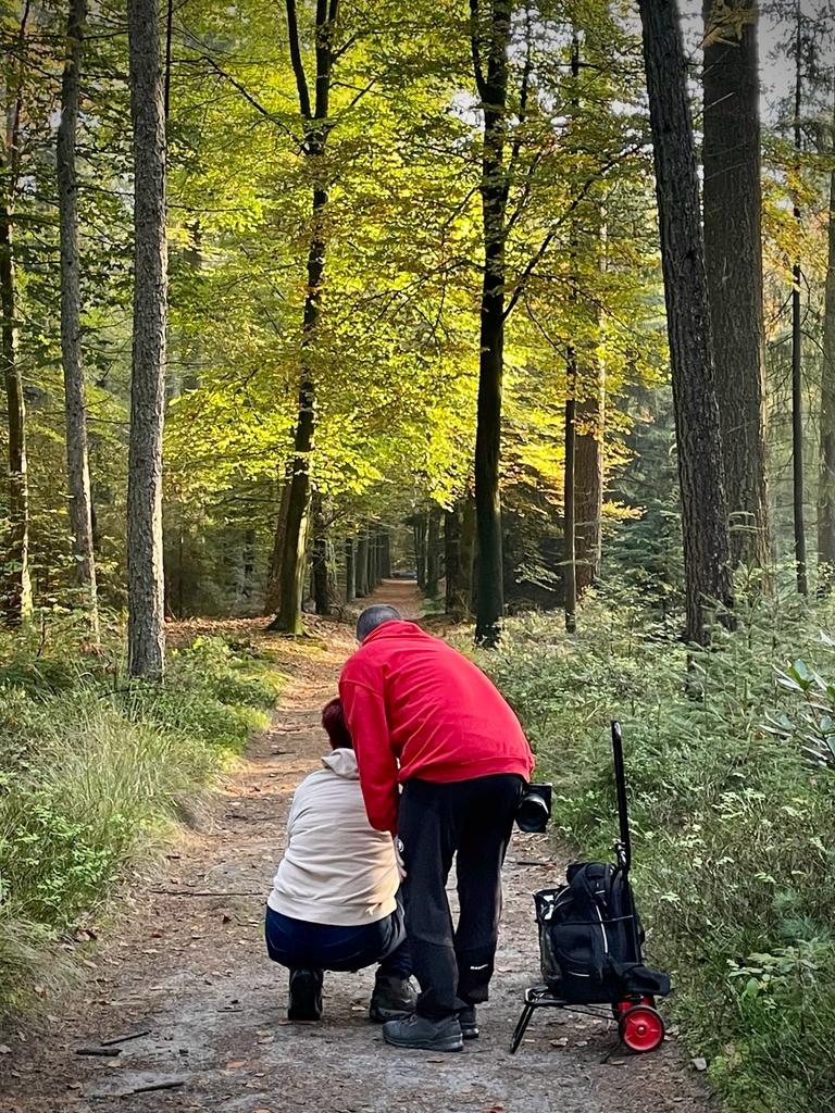Fotoweekenden Nederland Veluwe 3 Fotoweekenden Nederland Veluwe