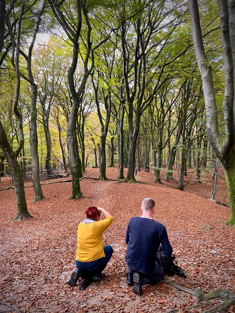Fotoweekenden Nederland Veluwe 5 Fotoweekenden Nederland Veluwe