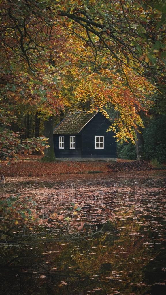 Fotoweekenden Nederland Veluwe 6 Fotoweekenden Nederland Veluwe zonneharpen