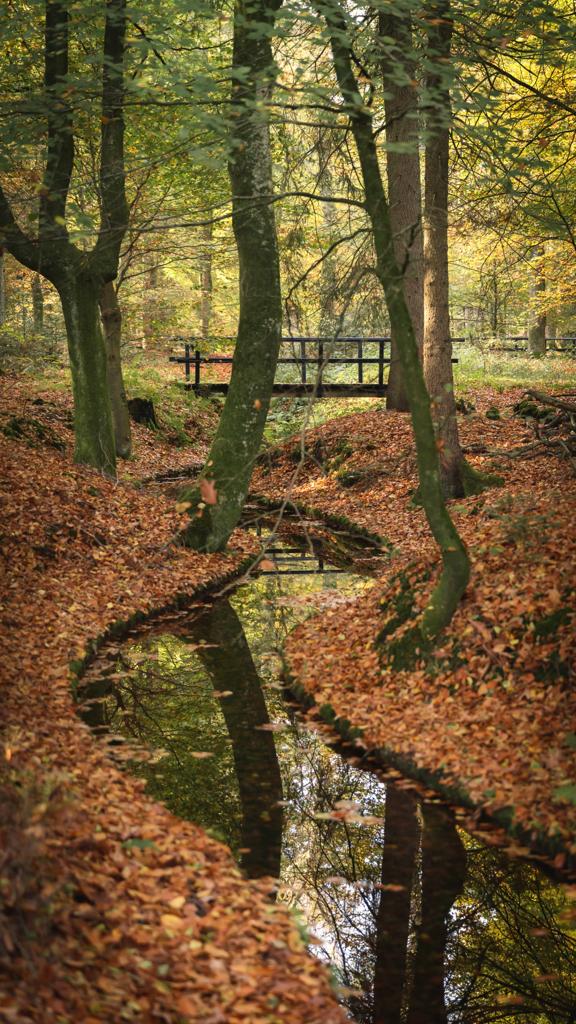 Fotoweekenden Nederland Veluwe 9 Fotoweekenden Nederland Veluwe zonneharpen