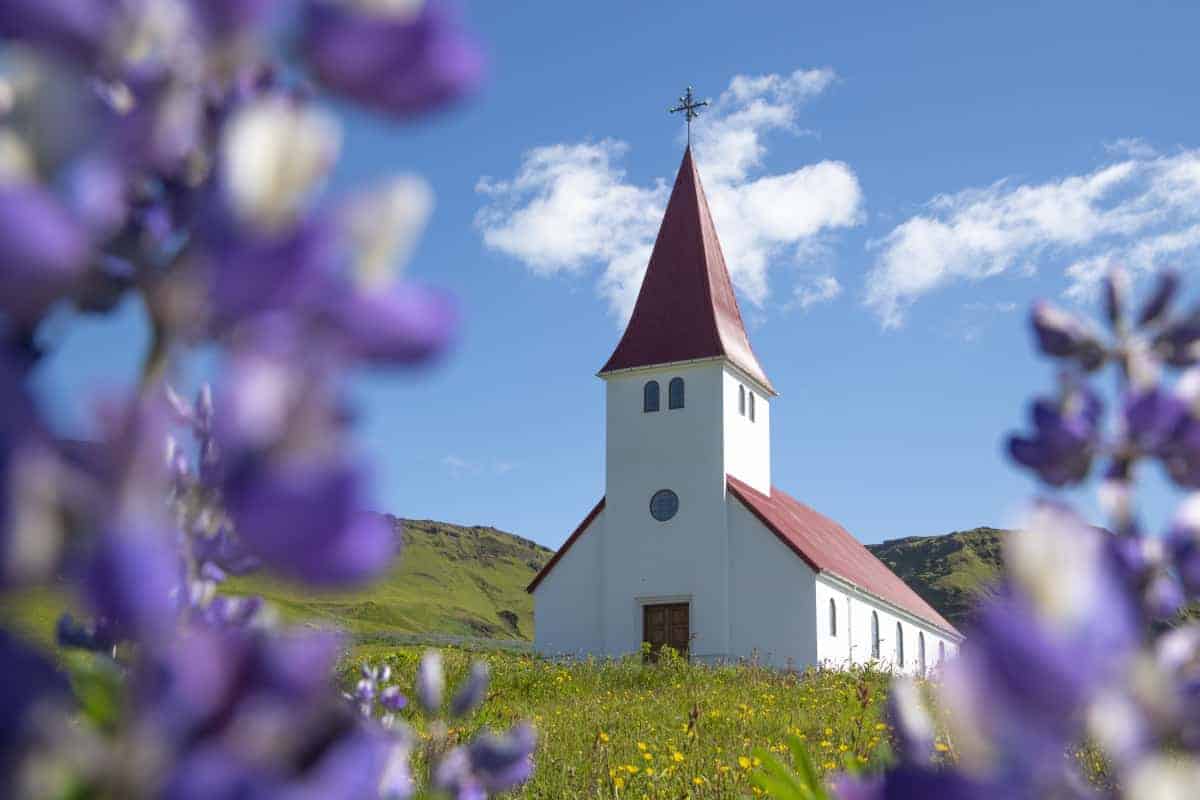 Kerkje Vik in de paarse Lupinen - Fotoreizen IJsland Kerkje Vik in de paarse Lupinen - Fotoreizen IJsland