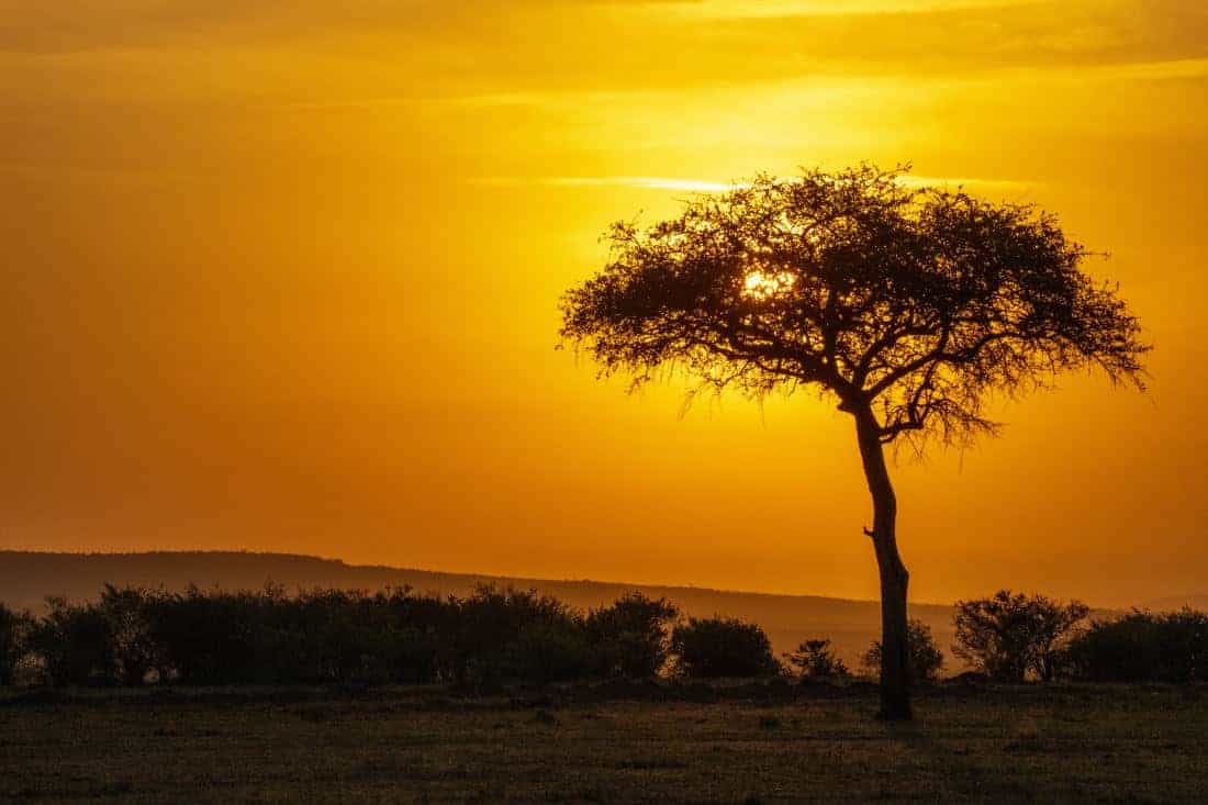 Maasai Mara Kenia rondreis zonsopkomst Maasai Mara Kenia rondreis zonsopkomst