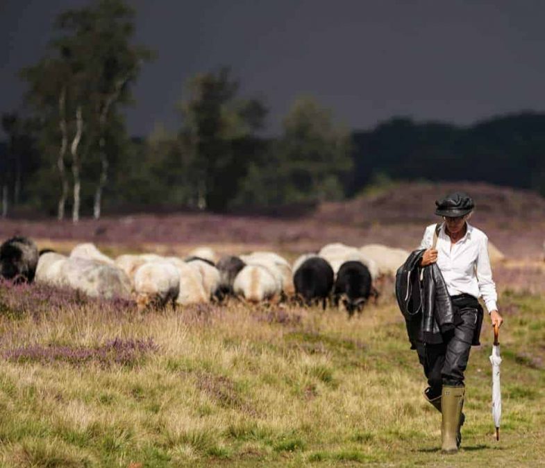 Marion van Schooten - de schaapherder op de Drentse heide