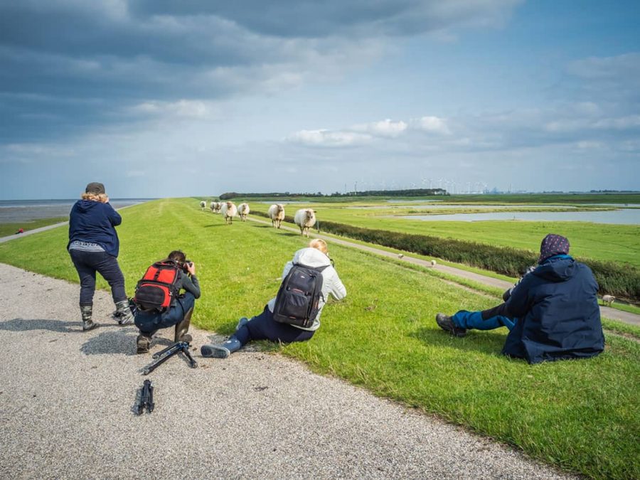 Priscilla Reeb Fotoweekend Groninger Waddenkust