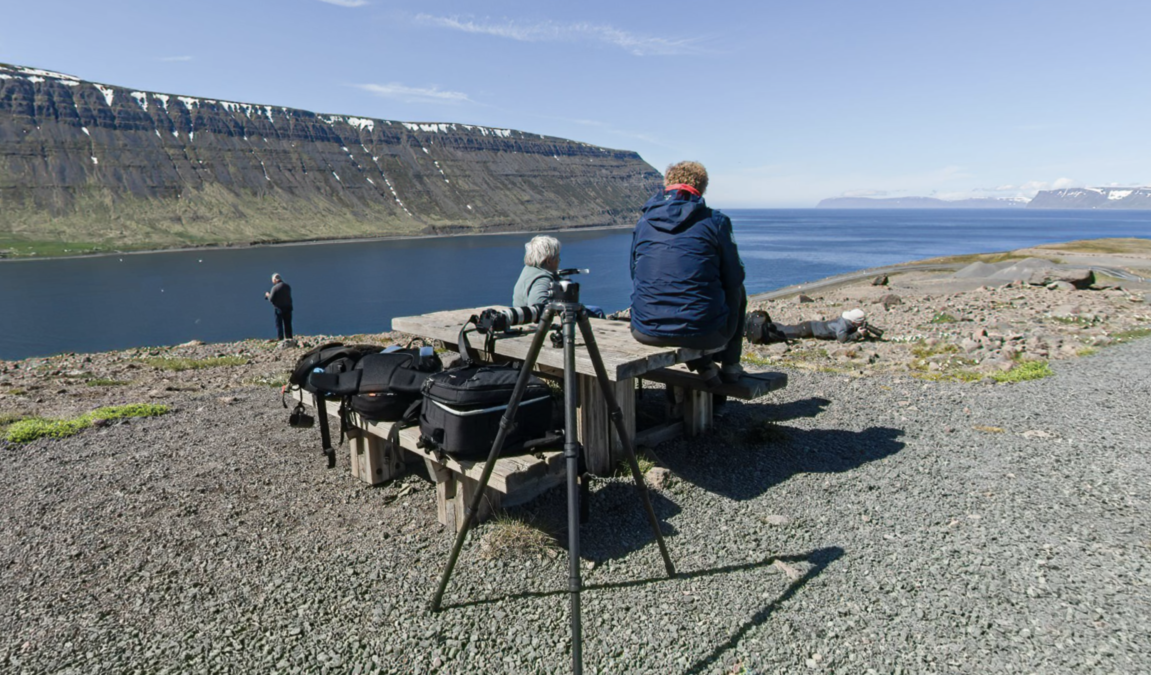 IJsland Westfjorden