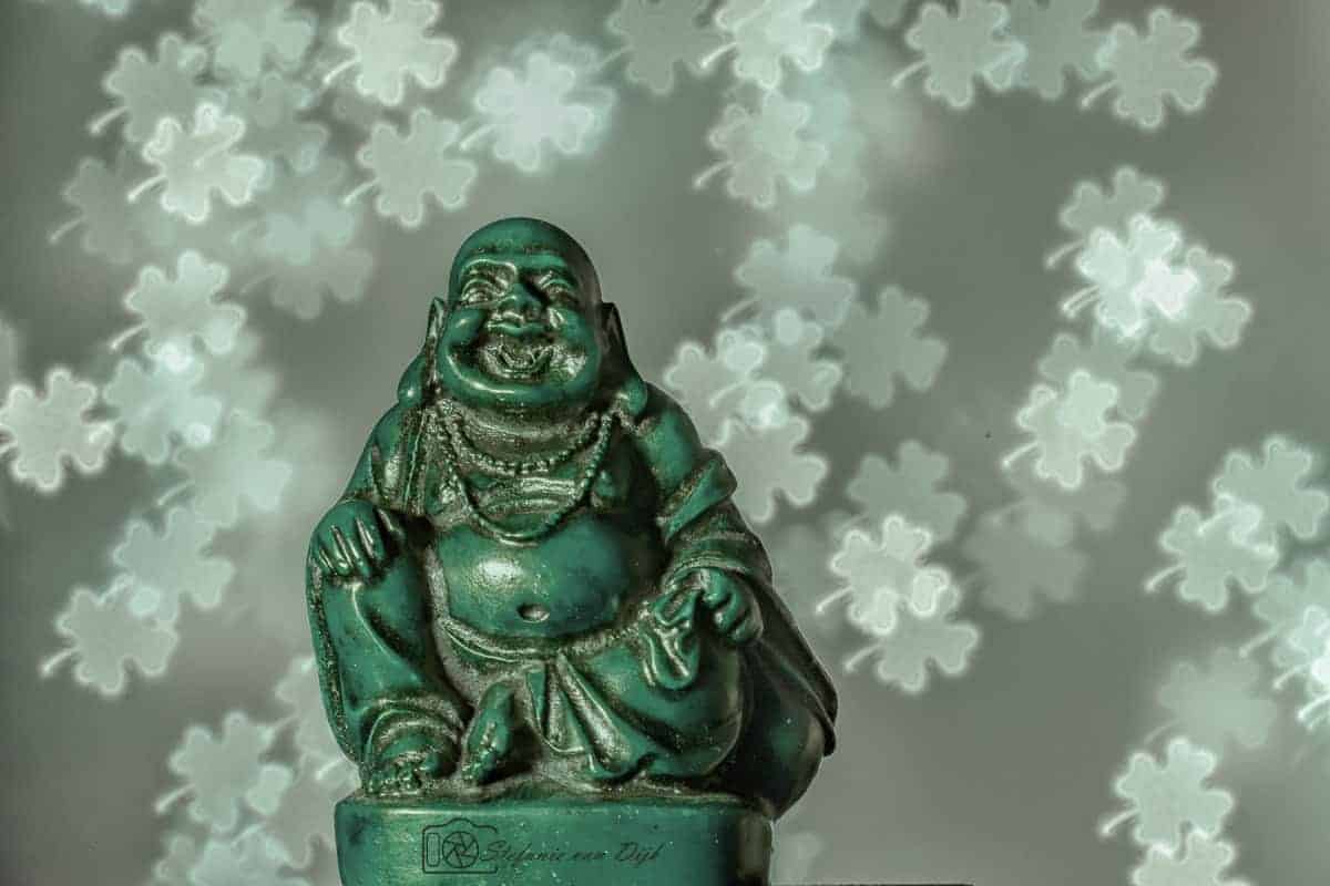 Wat is bokeh - fotografietips 12