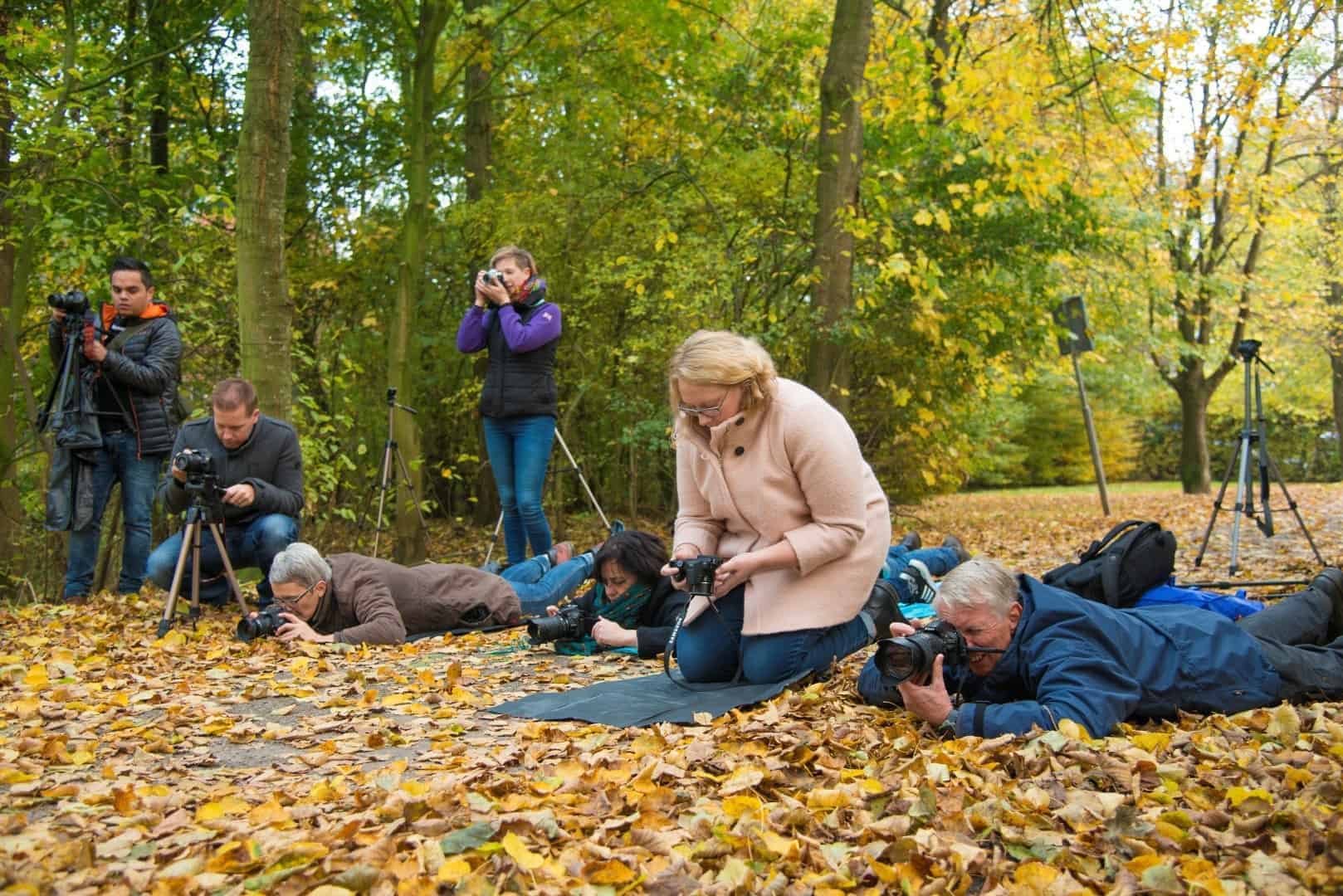 Deelnemers bezig Bruggetje Workshop Herfstfotografie Deelnemers bezig Bruggetje Workshop Herfstfotografie