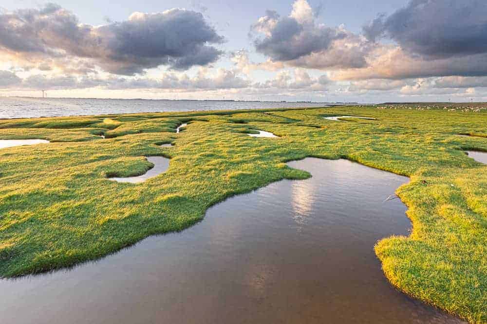 Punt van Reide Groningen Waddenkust