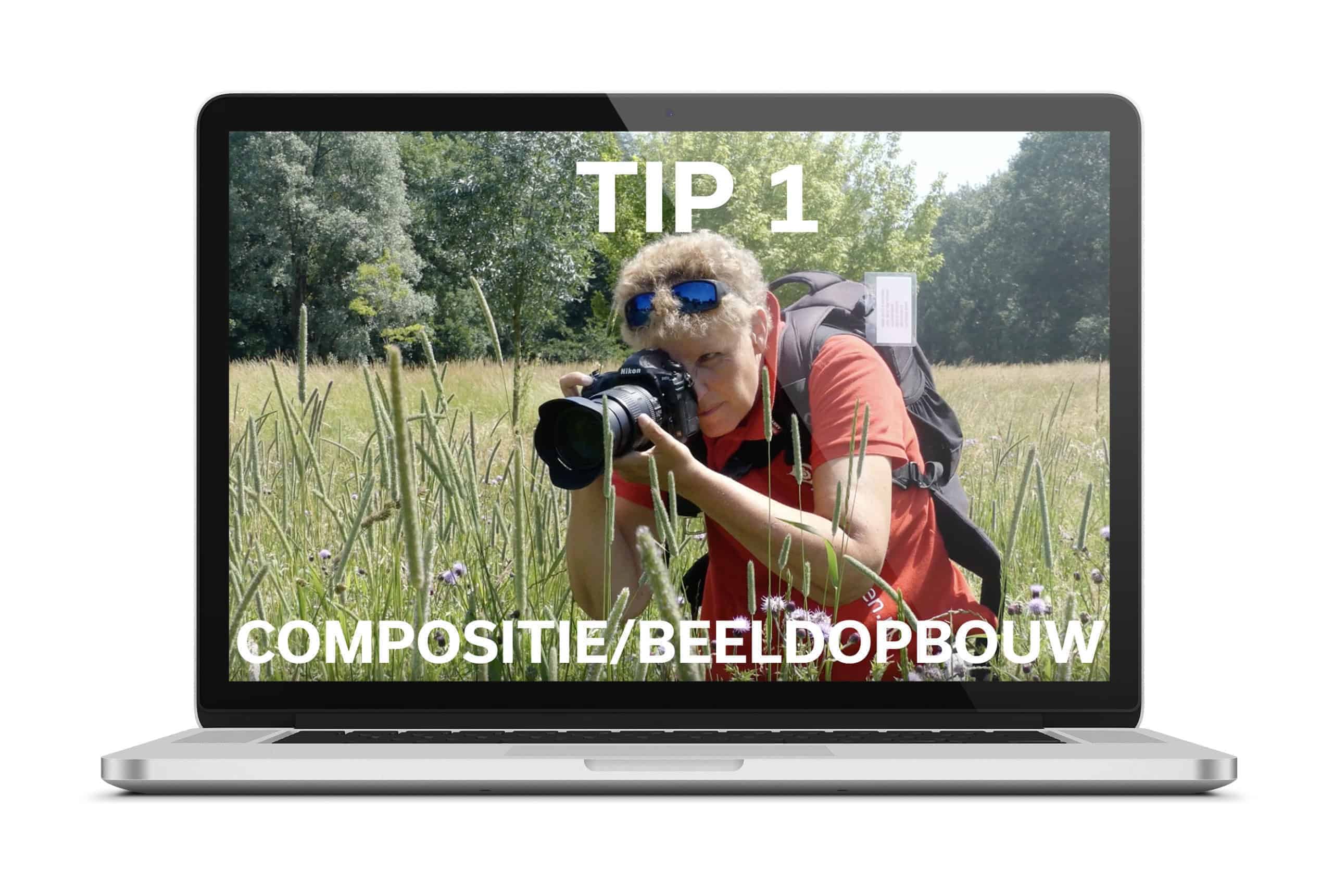 Tip 1 Compositie